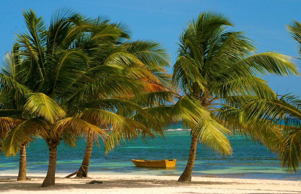 Bayahibe Guest House Hotel المظهر الخارجي الصورة