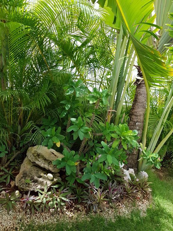 Bayahibe Guest House Hotel المظهر الخارجي الصورة